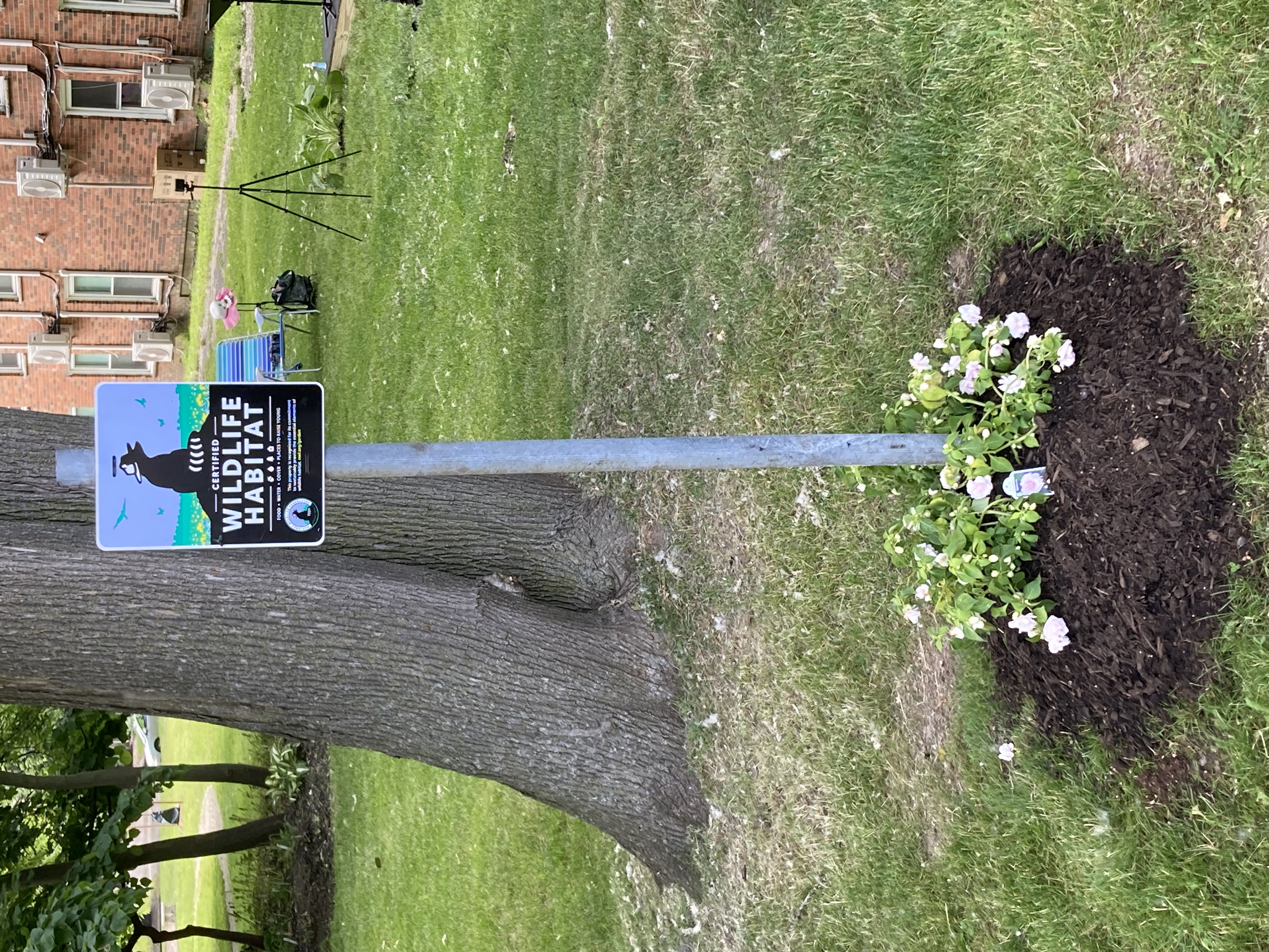 wildlife habitat
